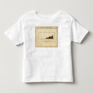 Alaska 14 toddler T-Shirt