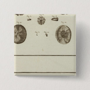 Alaska 15 Cm Square Badge