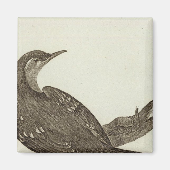 Alaska 2 magnet (Front)