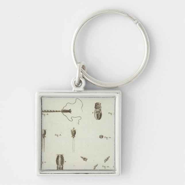 Alaska 3 key ring (Front)