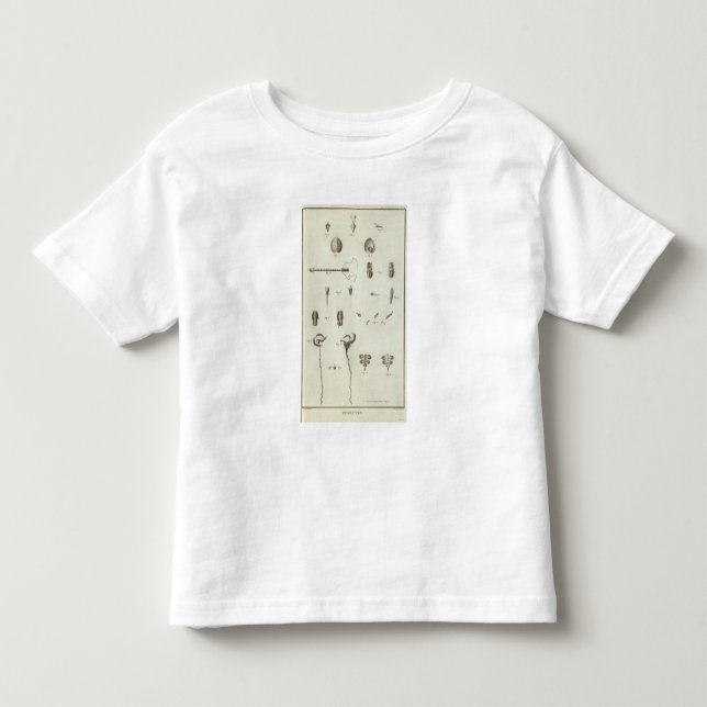 Alaska 3 toddler T-Shirt (Front)