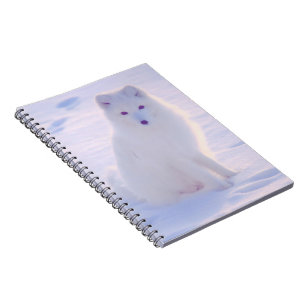 Alaska Arctic Winter Fox Photo Designed Journal