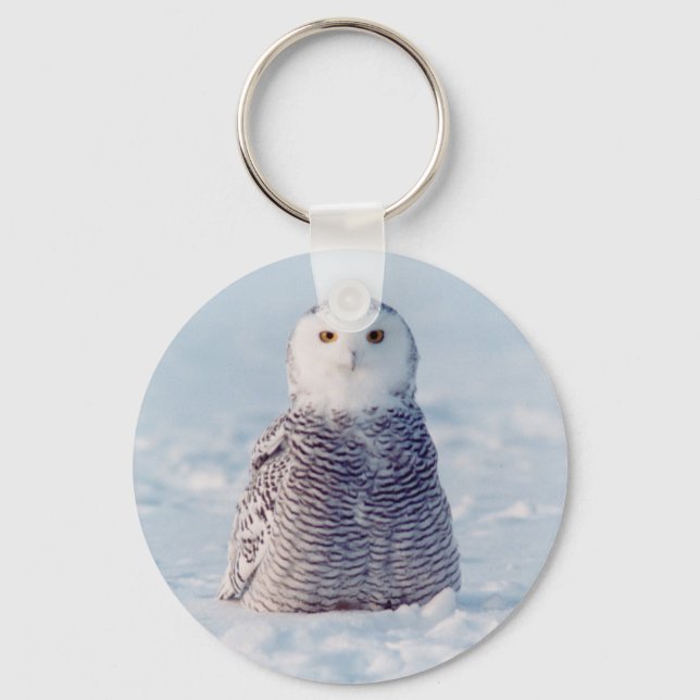 Alaska Arctic Winter Snowy Owl Key Ring (Front)