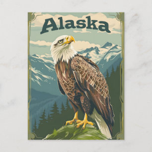 Alaska Bald Eagle Postcard