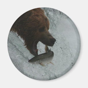Alaska Bear catching salmon Magnet