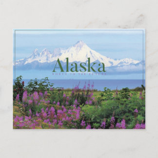 Alaska Beautiful Nature Postcard