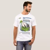 Alaska bird migration T-Shirt (Front Full)