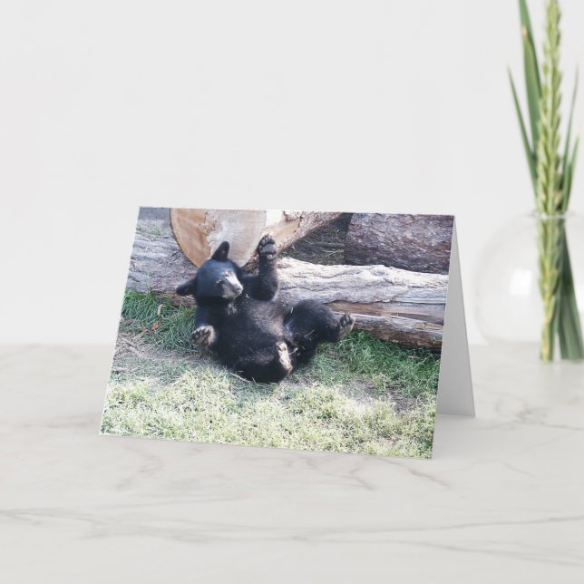 Alaska Black Bear Cub Greeting Card (Front)