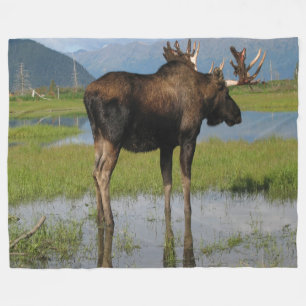 Alaska Bull Moose Antler Rack Outdoor Scene Photo Fleece Blanket