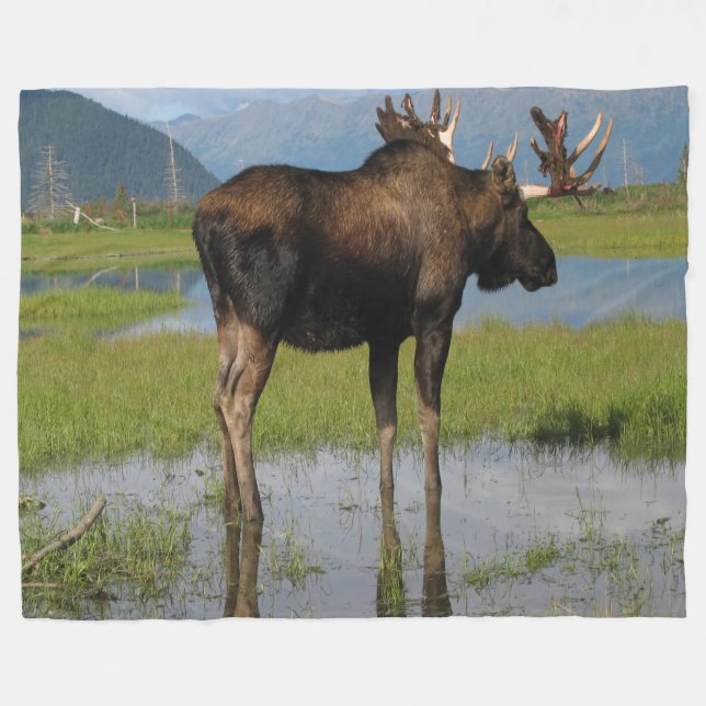 Alaska Bull Moose Antler Rack Outdoor Scene Photo Fleece Blanket (Front (Horizontal))