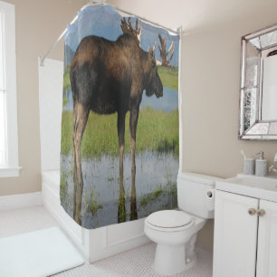 Alaska Bull Moose with Antlers Rack Outdoor Photo Shower Curtain