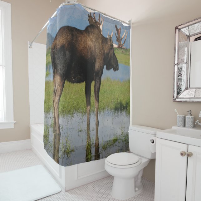 Alaska Bull Moose with Antlers Rack Outdoor Photo Shower Curtain (In Situ)