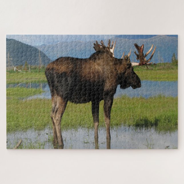 Alaska Bull Moose With Rack Antlers Scenic Outdoor Jigsaw Puzzle (Horizontal)