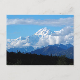 Alaska Denali Mountain Landscape Photo Postcard