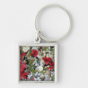 Alaska, Denali National Park, Arctic tundra is Key Ring