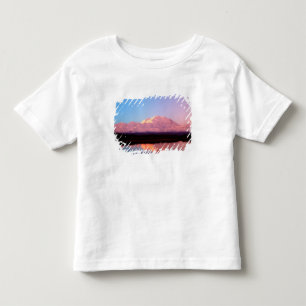 Alaska, Denali National Park, Mt. McKinley at Toddler T-Shirt
