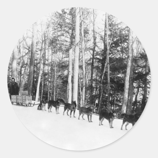 Alaska Dog Sledding Classic Round Sticker (Front)