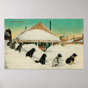 Alaska Dogsled Team resting in SnowState Poster