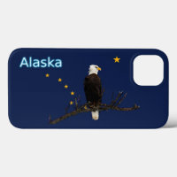 Alaska Eagle And Flag