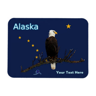 Alaska Eagle And Flag Magnet