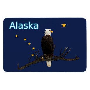 Alaska Eagle And Flag Magnet
