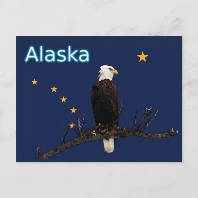 Alaska Eagle And Flag Postcard (Front)