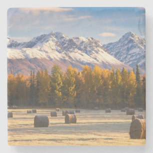 Alaska Farming Stone Coaster
