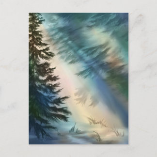 Alaska Forest Postcard
