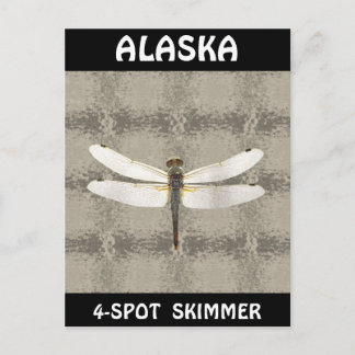 Alaska Four Spot Skimmer Dragonfly Postcard