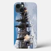 Alaska Husky Dog Sled Race