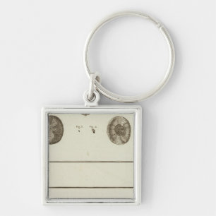 Alaska Key Ring