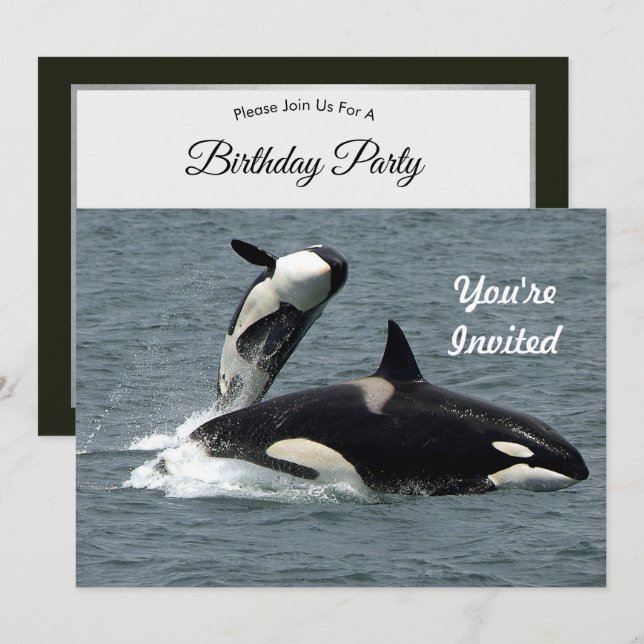 Alaska Killer Whale Photo Birthday Invitation (Front/Back)