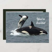 Alaska Killer Whale Photo Birthday