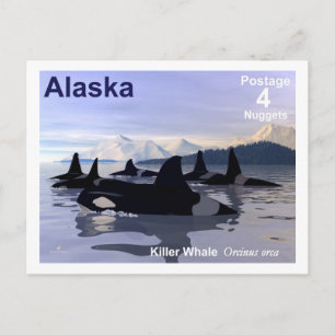 Alaska Killer Whales Stamp Postcard