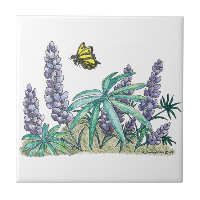 Alaska Lupine Watercolor Ceramic Tile (Front)
