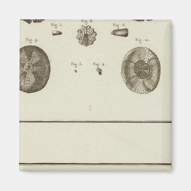 Alaska Magnet (Front)