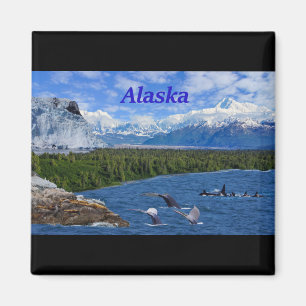 Alaska Magnet