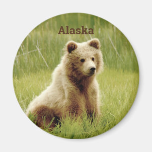 Alaska Magnet w/ grizzly bear cub