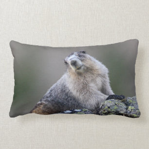 alaska marmot lumbar cushion