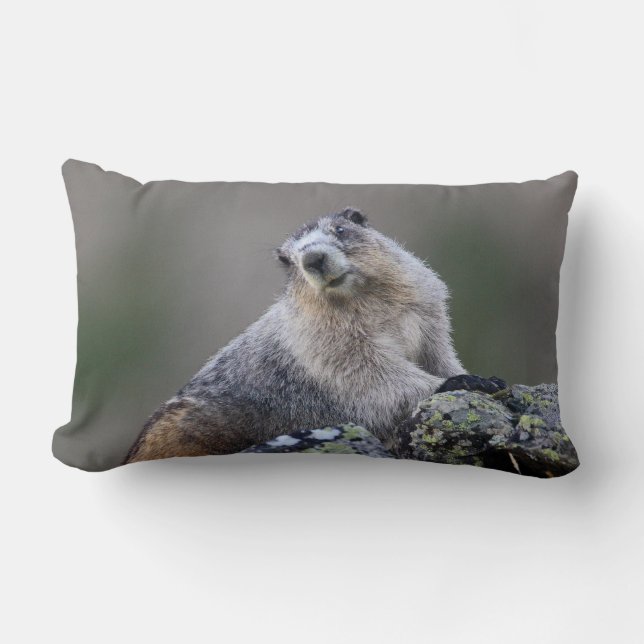 alaska marmot lumbar cushion (Front)