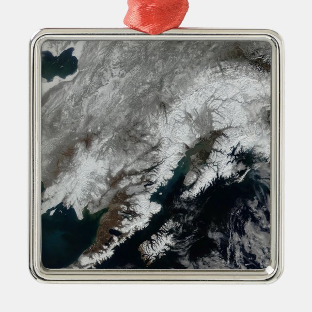 Alaska Metal Tree Decoration (Front)