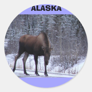 Alaska Moose Classic Round Sticker