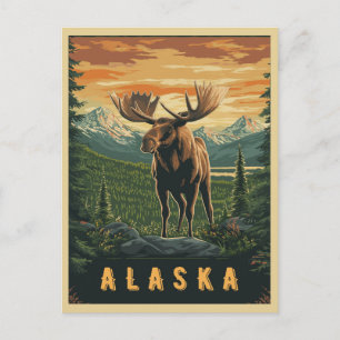 Alaska Moose - Vintage Wilderness Postcard