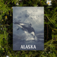 Alaska Mountains Killer Whale Orca