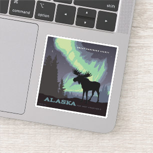 Alaska   Northern Lights Moose