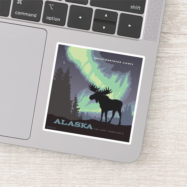 Alaska | Northern Lights Moose (Detail)