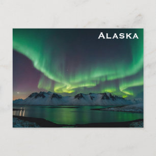 Alaska Northern Lights Travel Photo Postcard