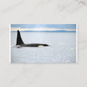 Alaska - Orca Business Card