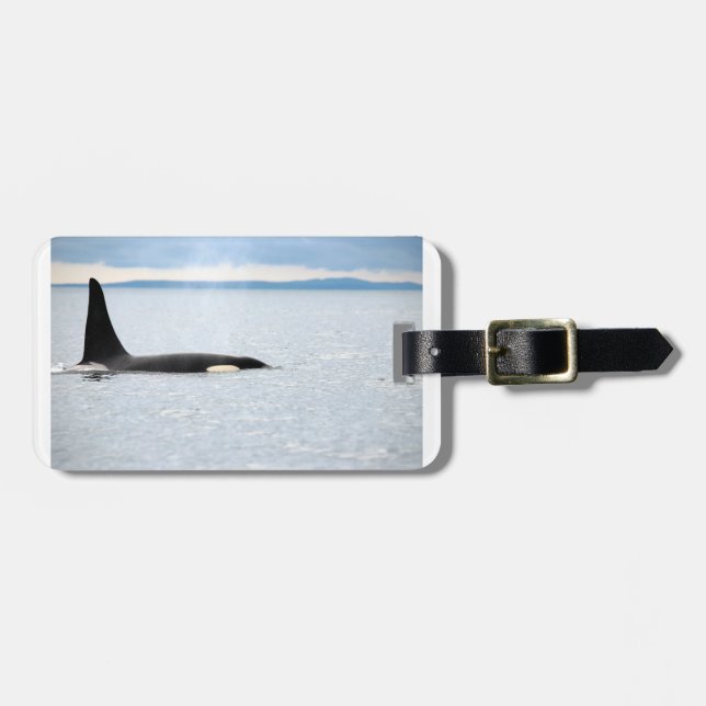 Alaska - Orca Luggage Tag (Front Horizontal)