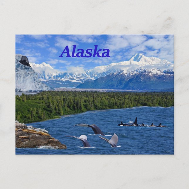 Alaska Postcard (Front)